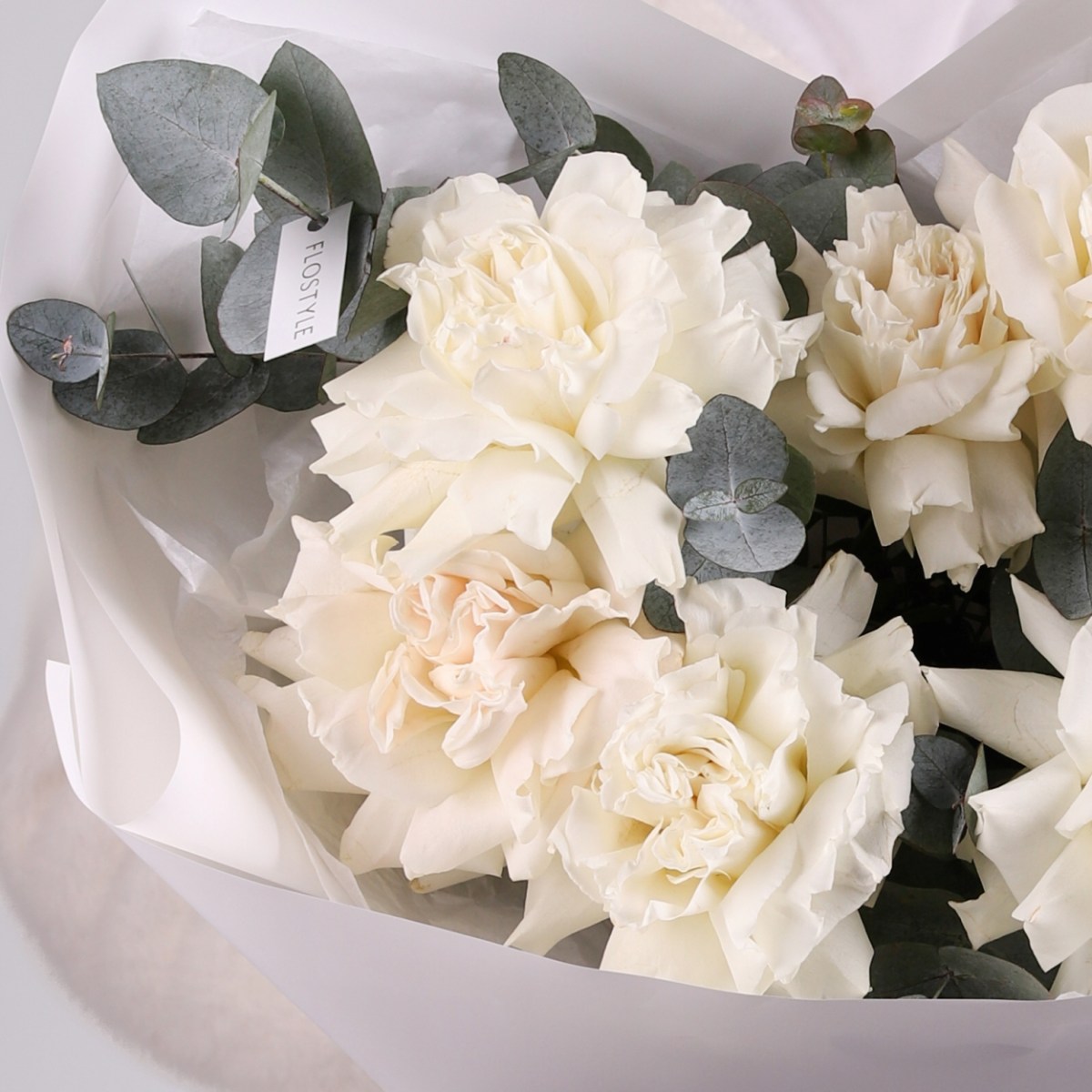 francuzskaya belaya roza 7